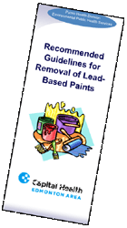 Recommended Guidelines for Removal of Lead-Based Paint