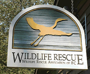 Wildlife Rescue Association of B.C.